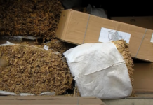 Prodhuesit e duhanit do të subvencionohen me 30 milionë euro