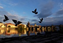 Evropa “duhet të përgatitet për valën e dytë” të koronavirusit