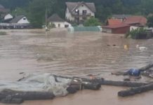 Reshjet e shiut “fundosin” Serbinë