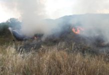 Zjarr në rrethinën e Prilepit