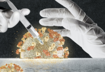 Studimi: Disa njerëz kanë imunitet të natyrshëm ndaj Covid-19