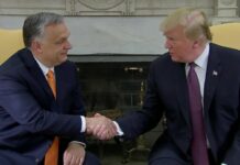 Nafta, Rusia dhe Ukraina në agjendën e takimit Trump-Orban