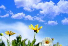 Moti me diell dhe vranësira mesatare, temperatura deri më 35 gradë