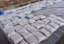 (FOTO) Konfiskohen 100 kg marijuhanë, arrestohen tre persona