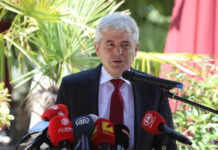Ahmeti tregon se si do të zhvillohet regjistrimi popullsisë