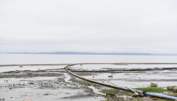 58DD41A9-549C-4663-B899-C50B71E6CE69