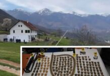 Armët dhe municioni që u gjetën në shtëpinë e të dyshuarit për vrasjen në Novosellë