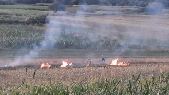 22461064-90CB-4E85-8DF5-1F46B3BAB322