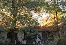 Zjarri në parkun e Shkupit është shuar përkundër hidranteve jofunksionale