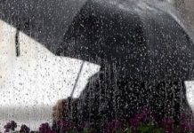 RMV, prej nesër reshje të dendura shiu dhe bubullima