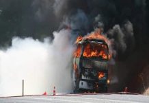 Arrestohet një mashkull në Sofje për aksidentin tragjik!