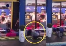 Pasi i ra të fikët, Fifi bie për tokë për herë të dytë në shtëpinë e “Big Brother VIP”