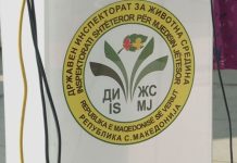 Inspektorati i Mjedisit me mungesë të kuadrove, 18 inspektorë për mbarë Maqedoninë e Veriut