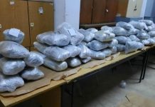 MPB ndërpret një kanal të transportit ndërkombëtar të drogës, arrestohen gjashtë persona