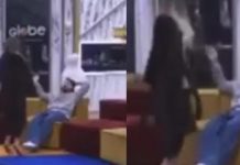 “Do ta këpus një unë ty moj po ik ulu…”, Donaldi sillet në mënyrë arrogante me Beatrixën