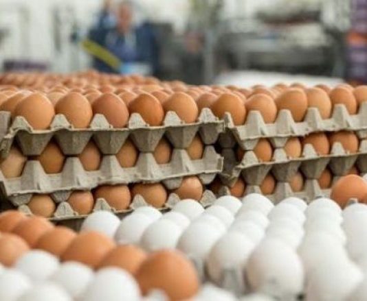 Mbi 40 tonë vezë të paetiketuara nga Serbia asgjësohen