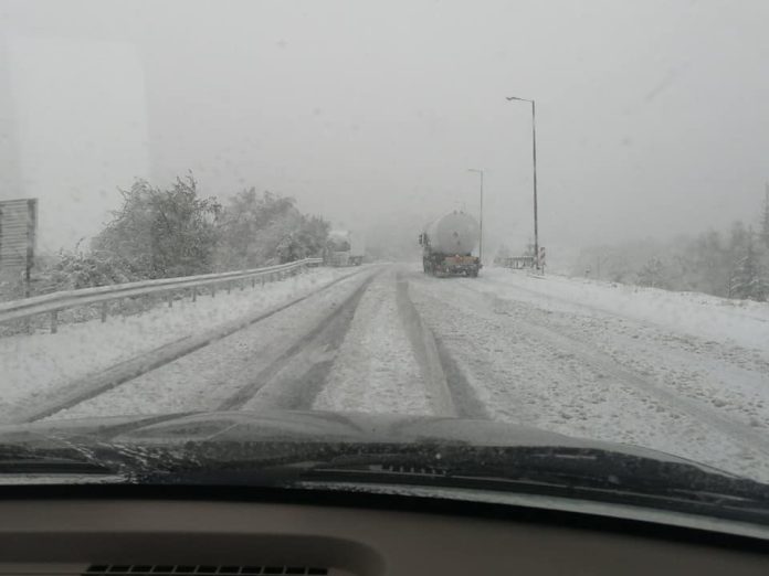 245553495_4438592602887267_2914691369685262705_n