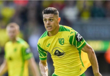 Rashica e kualifikon Norwichin tutje, fitojnë edhe Liverpool e Tottenham