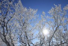 Erë dhe shumë ftohtë! Njihuni me parashikimin e motit