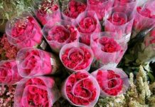 Qeveria e RMV-së ndanë tender mbi 47 mijë euro për lule