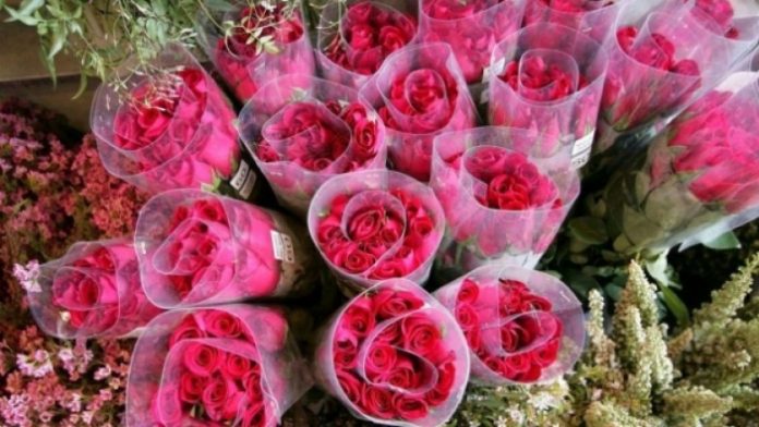 05798053-E141-4A6E-8C92-E84B952FE331