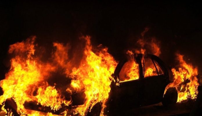 782F033E-4420-4672-8B4D-867913307225