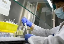 Ulet numri i rasteve të reja dhe viktimave nga virusi