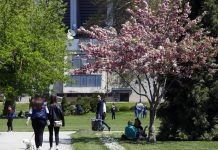 Gjatë fundjavës mot me diell dhe i ngrohtë, nga e hëna priten reshje shiu