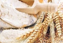 Maqedonia e Veriut e vazhdon ndalesën për eksportin e vajit dhe drithërave