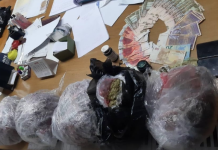 Kapet drogë në vlerë të 20.000 eurove! Arrestohet 28-vjeçari nga Velesi