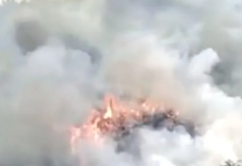 Video/Rrëzimi i “Boeing 737” në Kinë me 132 pasagjërë