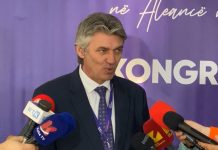 Sela: Shqiptarët në Maqedoni janë 34%, kurse maqedonasit 59% (Video)