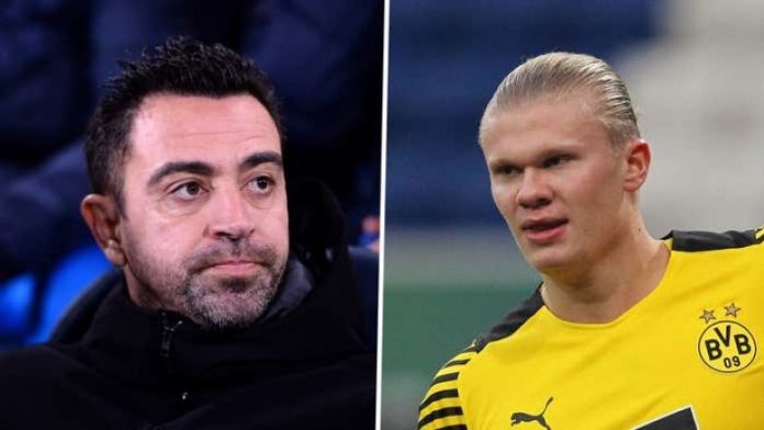 xavi-haaland-780x439