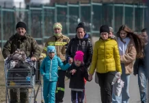 Bie numri i refugjatëve ukrainas në Poloni