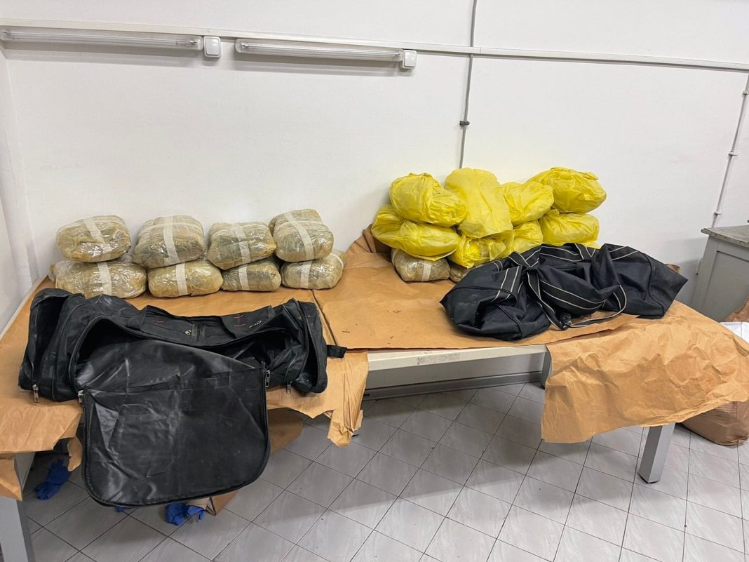 278176541_289358300041371_421659614206558718_n