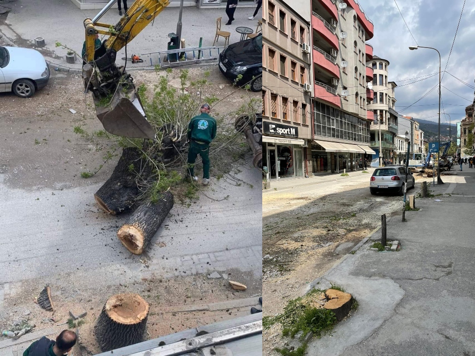 278526064_324184946483616_2904650883977612401_n-1