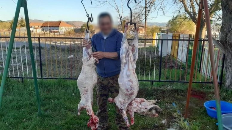 279184680_568476627873846_1694793351271922888_n