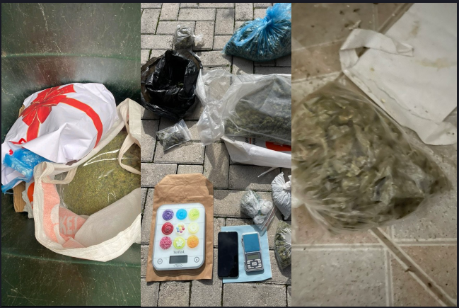 A067B78E-E086-4F88-9E82-F7AFF3D59B73