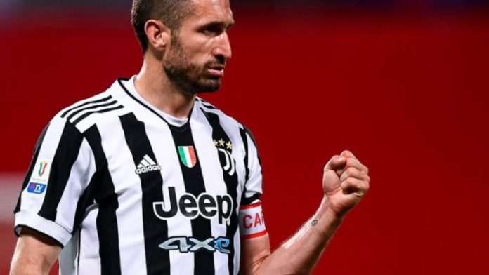 affee2493922b04dbba342e4c7c3b581_754x-780x439