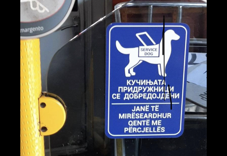 813BBEE5-DD6D-408F-8A6C-830DAC96C363