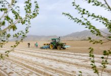 Vlera e prodhimit e Sistemit të Navigimit Satelitor “BeiDou” të Kinës shënon rekord të ri