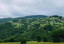 Goshnica e vetmuar: Rrugët e fshatit i ka kapluar heshtja