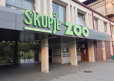 zoo