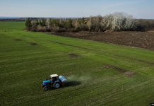 Ukraina kërkon ndihmën e OKB-së për eksportet e drithërave