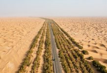 Autostrada e parë në shkretëtirë në Kinë arrin lëshim zero të karbonit