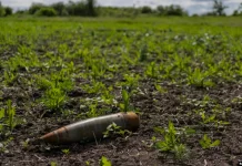 OKB paralajmëron rritjen e urisë kronike për shkak të luftës në Ukrainë