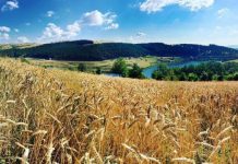 Stuhitë me breshër kanë dëmtuar të mbjellat në Kosovë