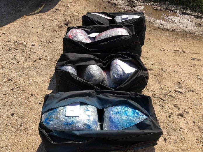 285683015_322592943384573_698348816749515441_n