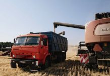 Bllokimi i grurit, Italia i kërkon Rusisë të reagojë: Do të vdesin miliona vetë