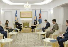 Osmani dhe Komisionerja e Këshillit të Evropës flasin për luftimin e dhunës në familje